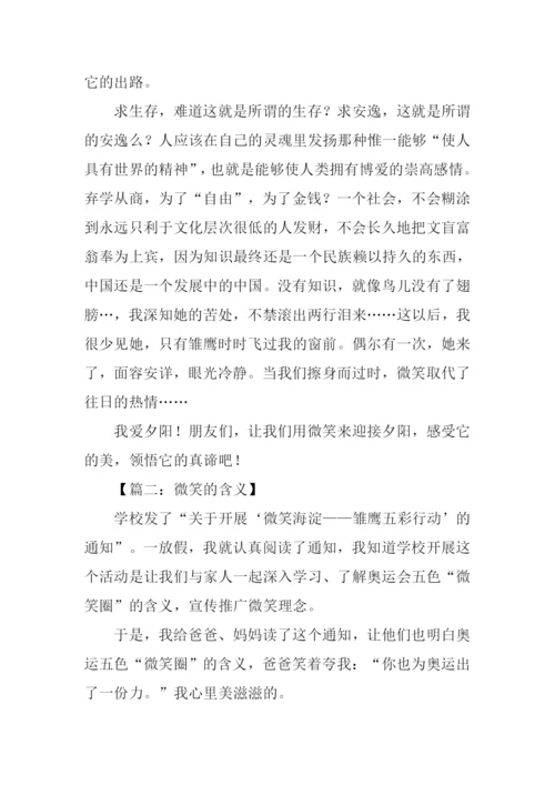微笑的含义作文.docx