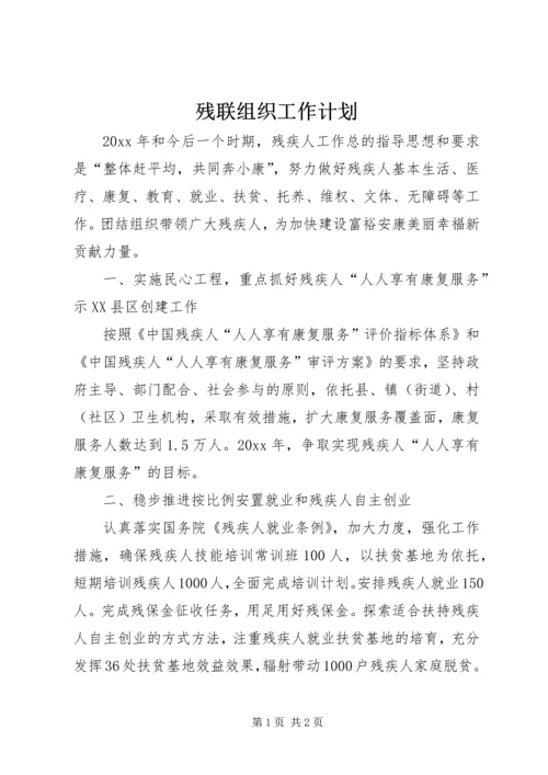 残联组织工作计划.docx