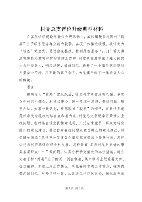 村党总支晋位升级典型材料.docx