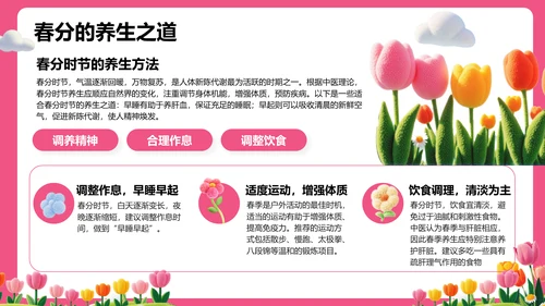 粉色插画风春分节气文化科普 PPT模板