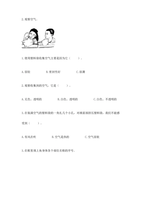 教科版一年级下册科学期末测试卷（b卷）.docx