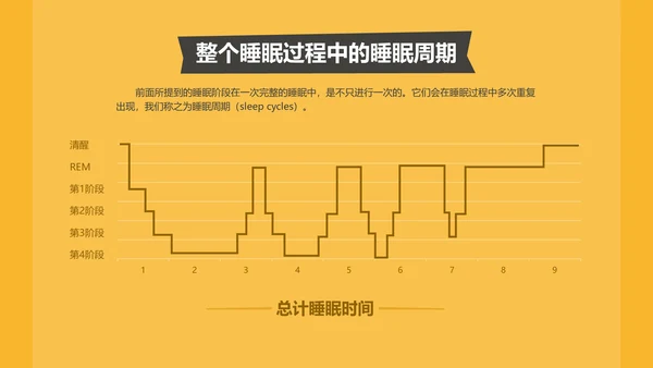 晚睡真的影响健康吗通用PPT模板