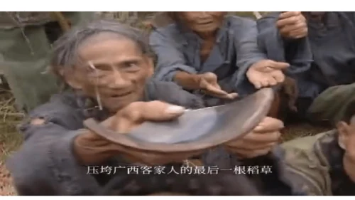 2024-2025学年统编版八年级历史上册第3课 太平天国运动   课件