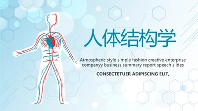 蓝色医疗人体结构学人体研究PPT