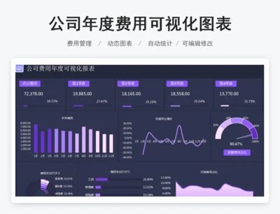 公司年度费用可视化图表