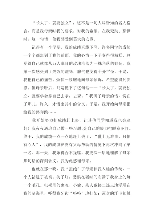 什么的启示作文800字.docx