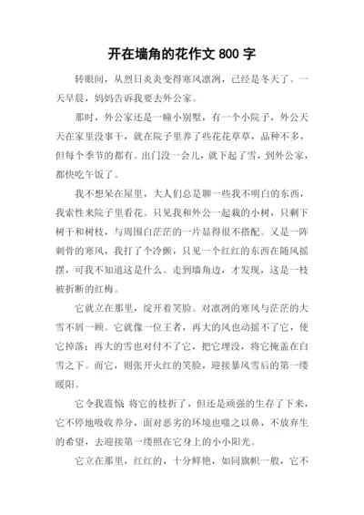 开在墙角的花作文800字.docx