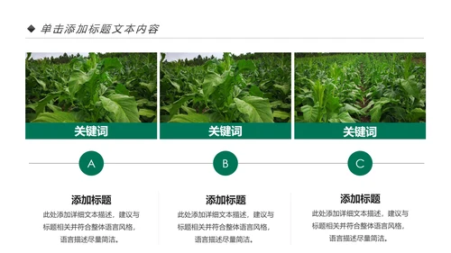 中国人寿保险公司年中工作总结工作计划PPT