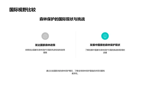 述职报告：森林保护PPT模板