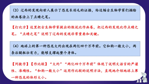 统编版四年级语文下学期期中核心考点集训第二单元（复习课件）