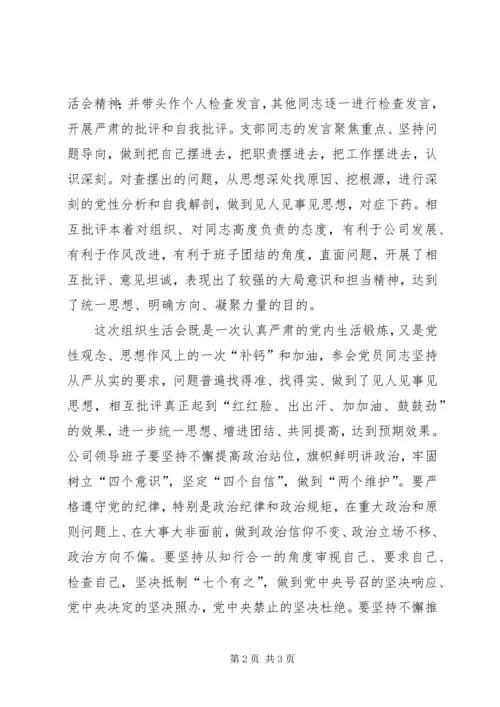 树牢“四个意识”，坚定“四个自信”，做到“两个维护”组织生活会材料.docx