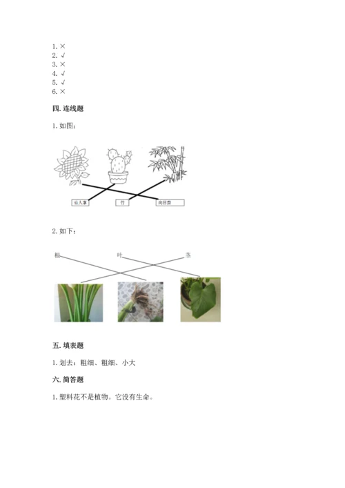 教科版科学一年级上册第一单元《植物》测试卷带答案（完整版）.docx