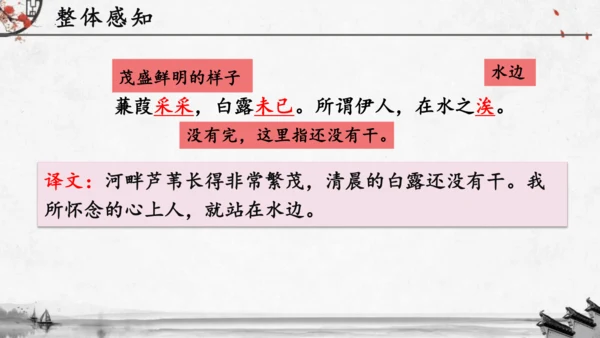 12《诗经》二首《蒹葭》课件(共19张PPT)