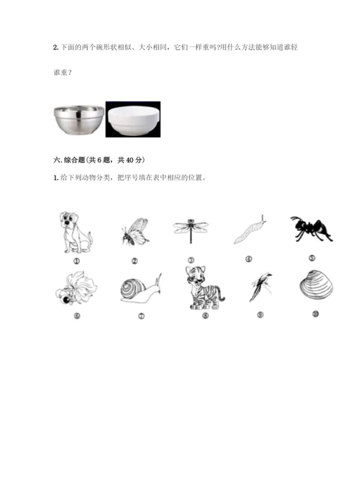 教科版一年级下册科学知识点期末测试卷【夺冠】.docx