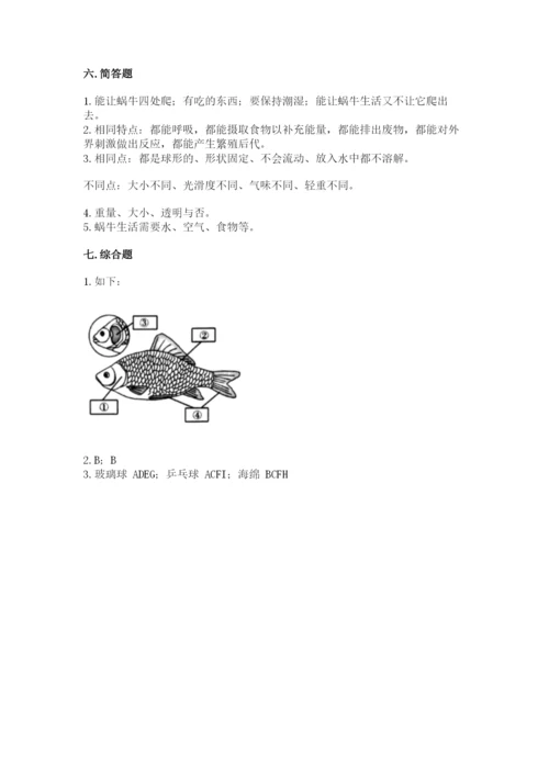 教科版一年级下册科学期末测试卷及答案【历年真题】.docx