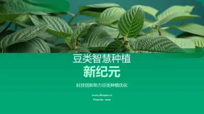 豆类智慧种植新纪元