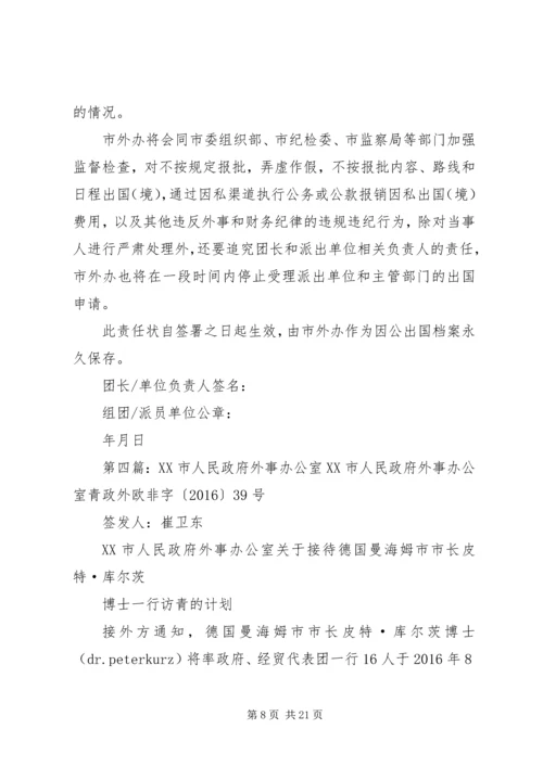 人民政府外事办公室工作总结.docx