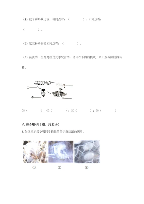 教科版小学科学三年级下册 期末测试卷（考点精练）.docx