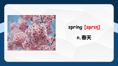 Unit 2 My favourite season单元复习 课件(共53张PPT)