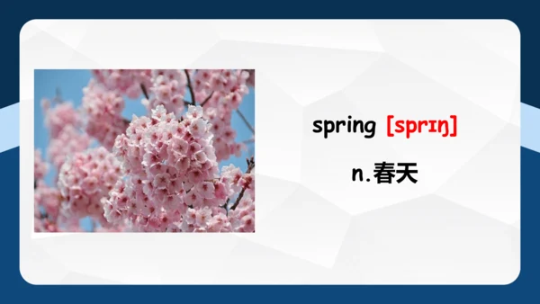 Unit 2 My favourite season单元复习 课件(共53张PPT)