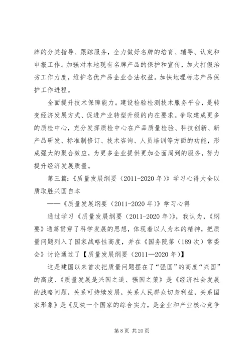 学习《质量发展纲要(20XX年20XX年)》心得.docx