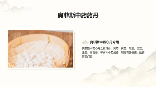 中国风中医药医疗保健产品介绍