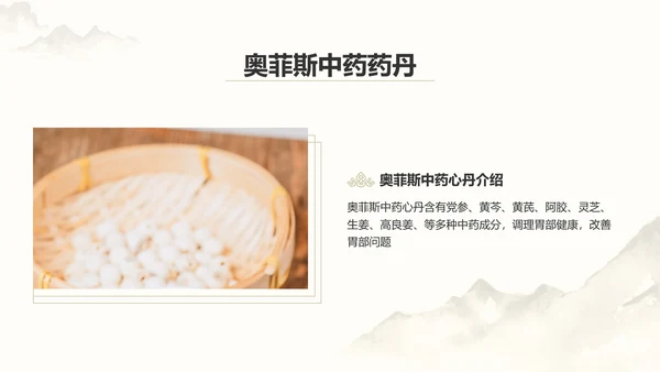 中国风中医药医疗保健产品介绍