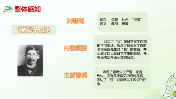 七年级语文上册第三单元整本书阅读《朝花夕拾》课件
