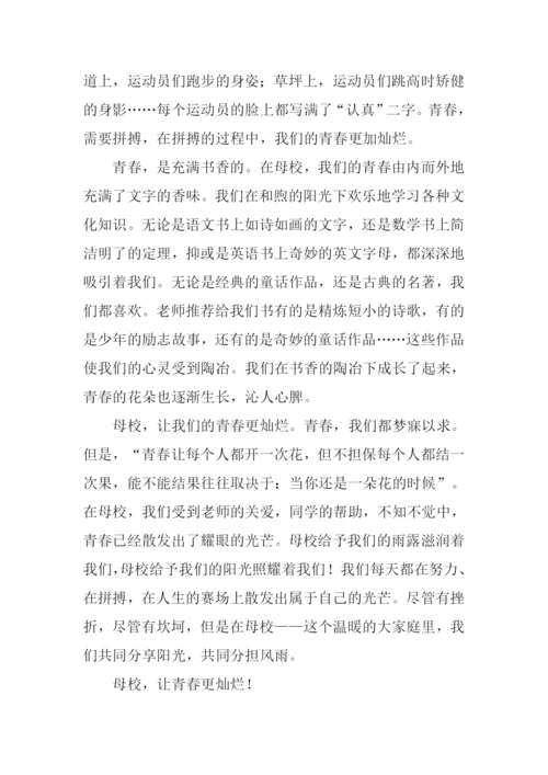 母校让青春更灿烂作文.docx