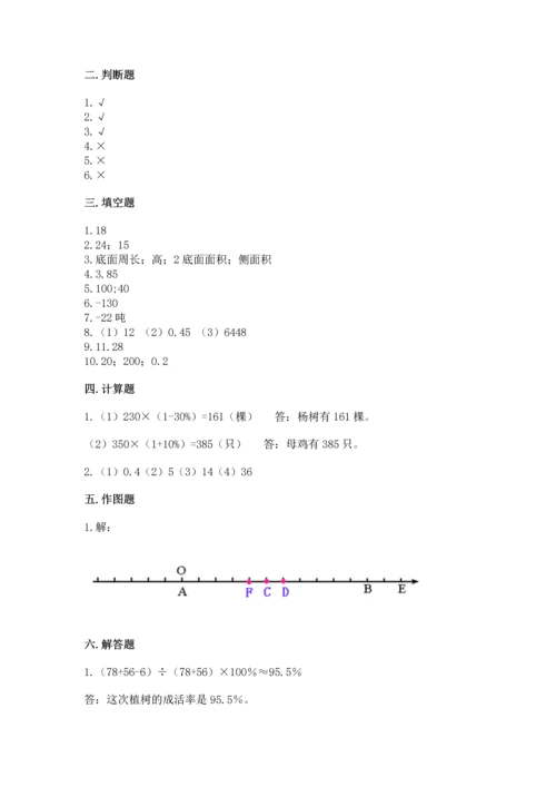 人教版六年级下册数学期末测试卷及参考答案（精练）.docx