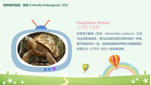 世界动物日小动物集合PPT模板