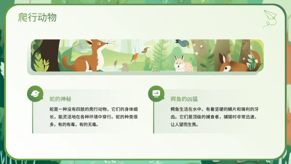 绿色插画风科普知识动物PPT
