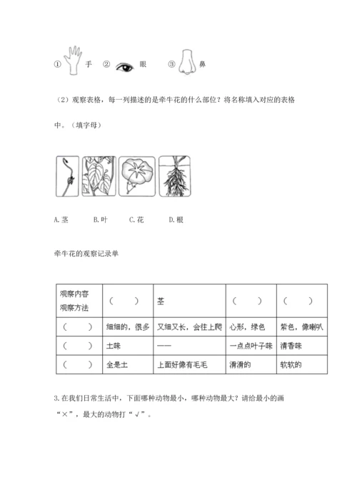 教科版一年级上册科学期末测试卷及精品答案.docx