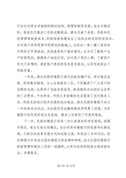 村镇银行年终总结及计划范例.docx