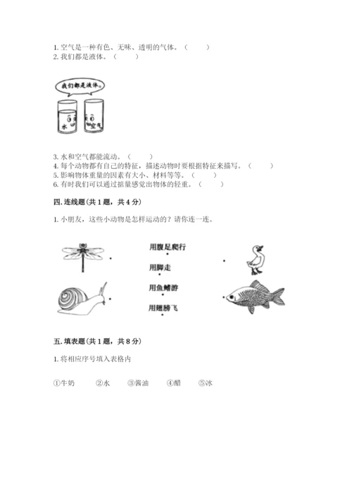 教科版一年级下册科学期末测试卷精品【必刷】.docx