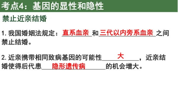 八下 第七单元复习课件(共58张PPT)