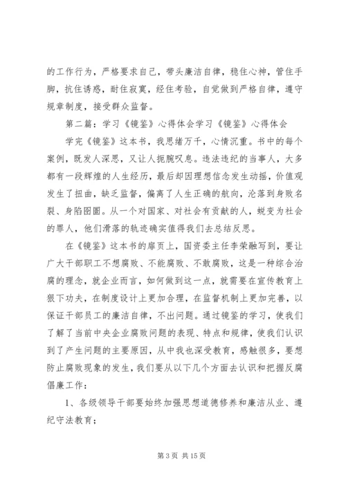 学习《镜鉴》心得体会 (2).docx