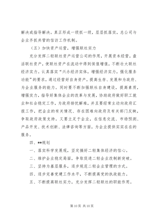 二轻年度总结及计划.docx