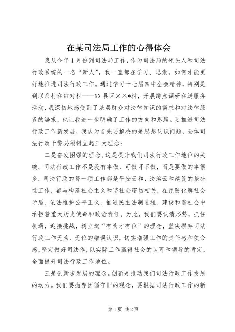 在某司法局工作的心得体会.docx