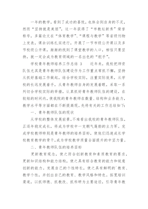 学校青年教师培养工作总结.docx