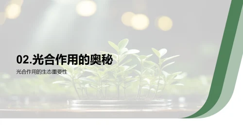 揭秘植物生命