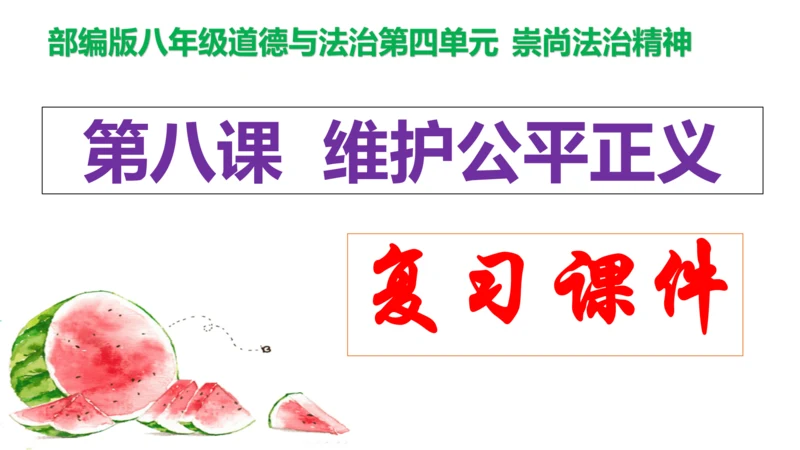 第八课 维护公平正义 复习课件（25张PPT）