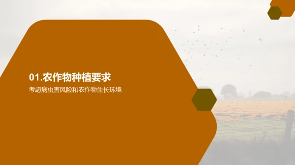 3D风教育培训教学课件PPT模板