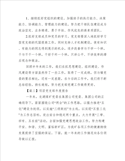 项目党支部年度报告【3篇】