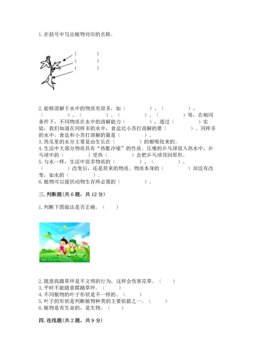 教科版科学一年级上册第一单元《植物》测试卷含答案【预热题】.docx