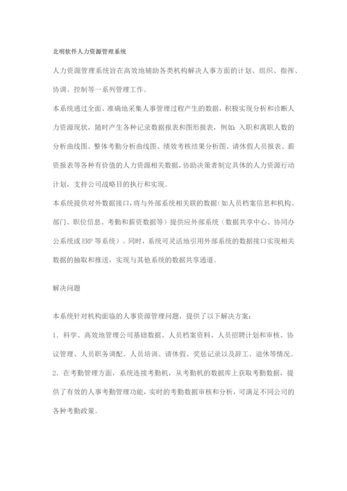 北明软件人力资源管理系统.docx