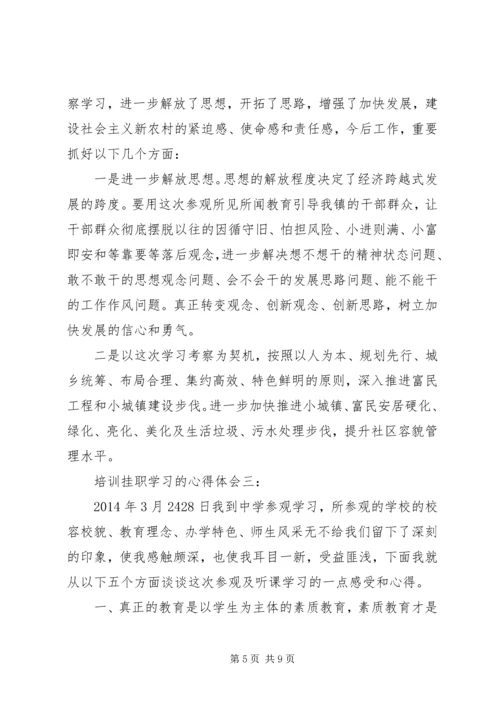 培训挂职学习的心得体会3篇.docx