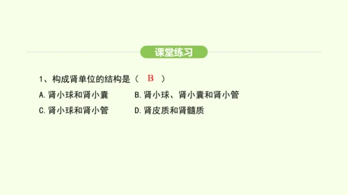 第四单元-第五章-人体内废物的排出课件-2024-2025学年七年级生物下学期人教版(2024)(共