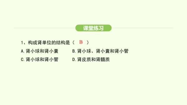 第四单元-第五章-人体内废物的排出课件-2024-2025学年七年级生物下学期人教版(2024)(共