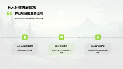 林业项目月度报告